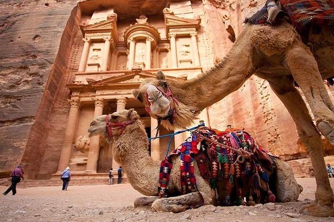 08 Days / 07 Nights Sun and Fun Red Sea to Dead Sea - Aqaba Free Time: Red Sea Break Without the Pressure