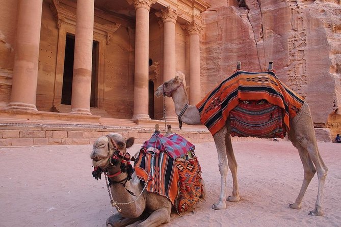 2 Day 1 Night Wadi Rum (Overnight) & Petra Shore Excursion - Key highlights before you go