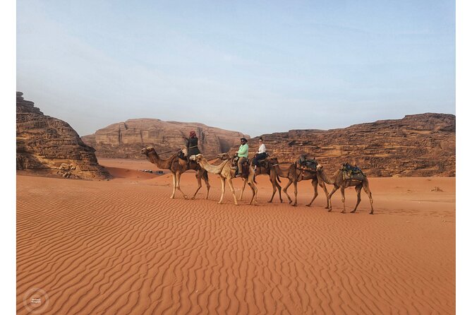 2-Day Jordan Guided Tour Petra, Wadi Rum and Dead Sea - Dead Sea time: floating, mud, lunch, and a pool break