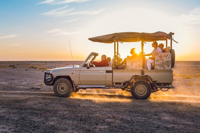 2-Day Private Tours in Jordan: Petra, Wadi Rum, and Dead Sea from Amman - Practical pacing: how to enjoy Petra and not feel wrecked