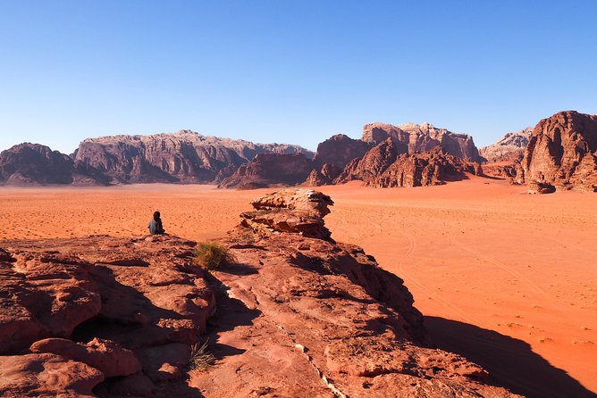 2 Hour Jeep Tour - Wadi Rum Desert & Canyon - The guide experience: pacing, communication, and a real sense of safety