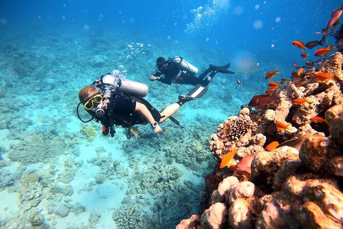 2-Hour Private Scuba Experience in Aqaba - Price and Value: What $45 Covers and Why It’s Not Just Cheap