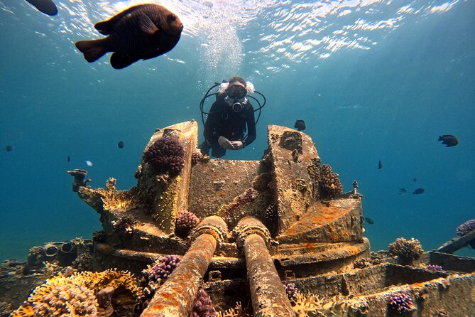 2-Hour Private Scuba Experience in Aqaba - Best Time to Book and What Might Affect Your Schedule