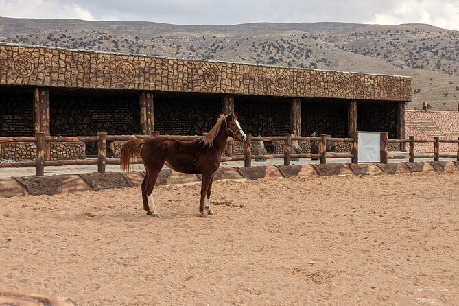 2 Hour Trail Ride to Little Petra-Morning or Sunset - Why a Two-Hour Horse Ride to Little Petra Feels So Different
