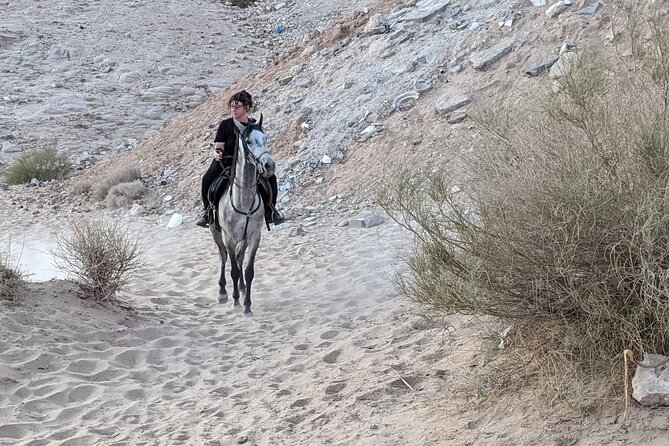 2 Hour Trail Ride to Little Petra-Morning or Sunset - Riding the Backroads: Bedouin Camps and the Jordan Trail
