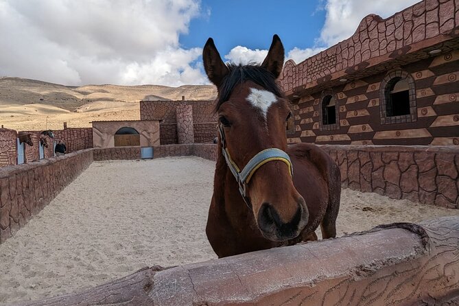 2 Hour Trail Ride to Little Petra-Morning or Sunset - Optional Detours: Neolithic Village and Little Petra Archaeological Sites