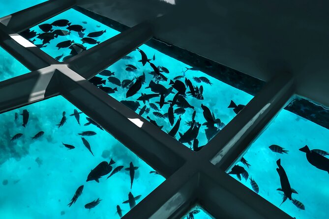 2 To 5 Hours Glass Bottom Boat Private Tour At Read Sea - Snorkeling gear, inflatables, and how the swim time fits in