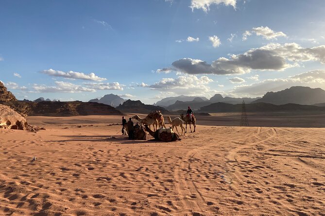 3-Day Group Tour to Petra, Wadi Rum and northern Jordan from Amman/Dead Sea - Day 2: Petra with a licensed local guide, then independent exploration