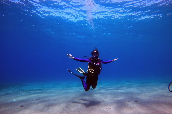 3-Day Open Water Scuba Diving Course in Aqaba - Key highlights worth your attention