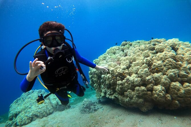 3-Day Open Water Scuba Diving Course in Aqaba - The 3-day schedule: confined practice first, open water after