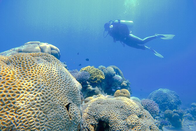 3-Day Open Water Scuba Diving Course in Aqaba - Safety and equipment hygiene, the stuff you feel after the first minute