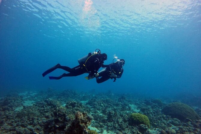 3-Day Open Water Scuba Diving Course in Aqaba - The 8:30am start and the weather reality in Aqaba