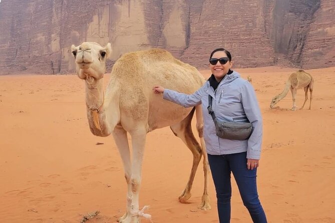3-Day Tour from Amman: Jerash, Ajloun, Petra, Wadi Rum & Dead SEA - Wadi Rum at 5 PM: desert light, 4x4 options, camel riding, and starry night