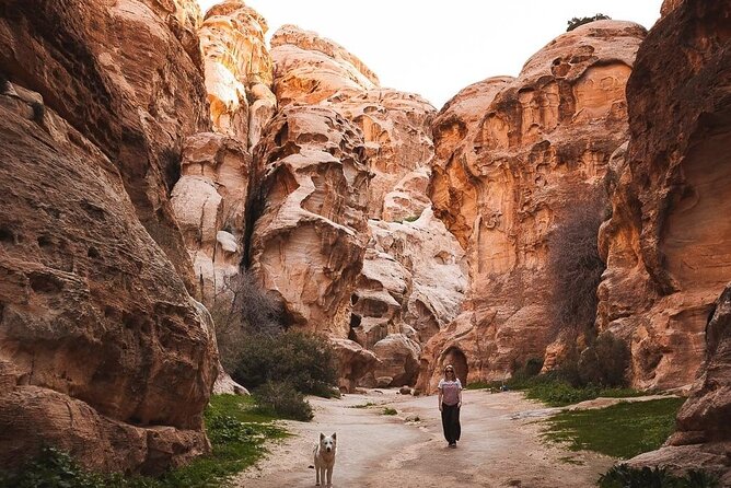 3-Hour 4x4 Safari in Little Petra - Al-Beidha start: the valley spread you will remember