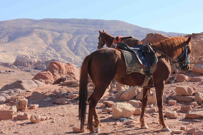 3 Hour Horse Riding Adventure around the Petra Area - From Wadi Musa to Little Petra, Here’s How the Day Flows