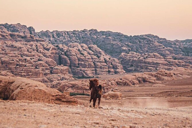 3 Hour Horse Riding Adventure around the Petra Area - Siq Al Barid and the Mountain Lunch Break
