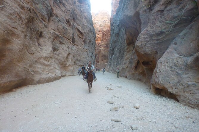3 Hour Horse Riding Adventure around the Petra Area - The Value Question: Is $145 Worth It?