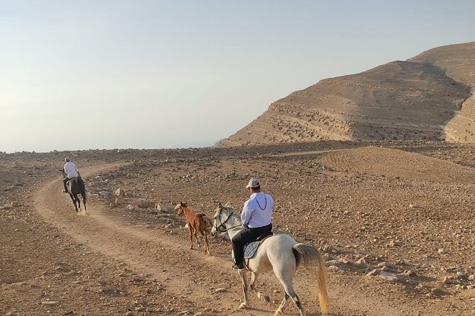 3 Hour Horse Riding Adventure around the Petra Area - Practical Comfort and Safety Checks Before You Go