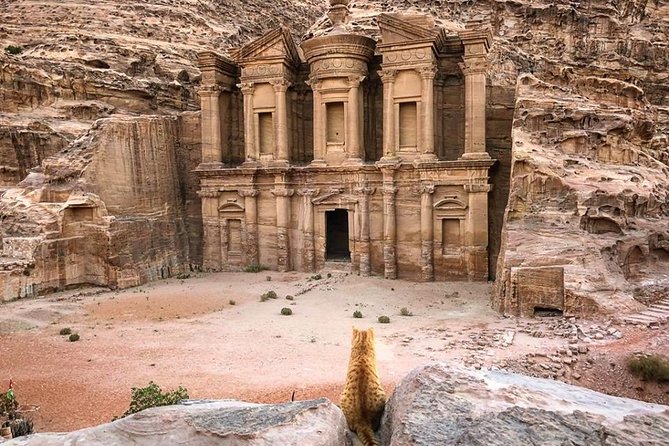 3Days Tour Petra & Wadi Rum from Amman, Dead Sea OR Amman Airport - 4WD safari in Wadi Rum: what you pay for, and what you get