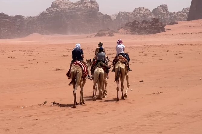 4-Day Private Tour, Jordan superiority - Petra pace tips: horse option, shoes, and how to manage the walk