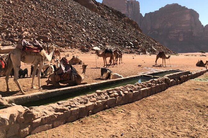 4 Hour Jeep Tour (morning or sunset) - Wadi Rum Desert Highlights - Little Bridge and Umm Fruth: two photo stops, two very different climbs