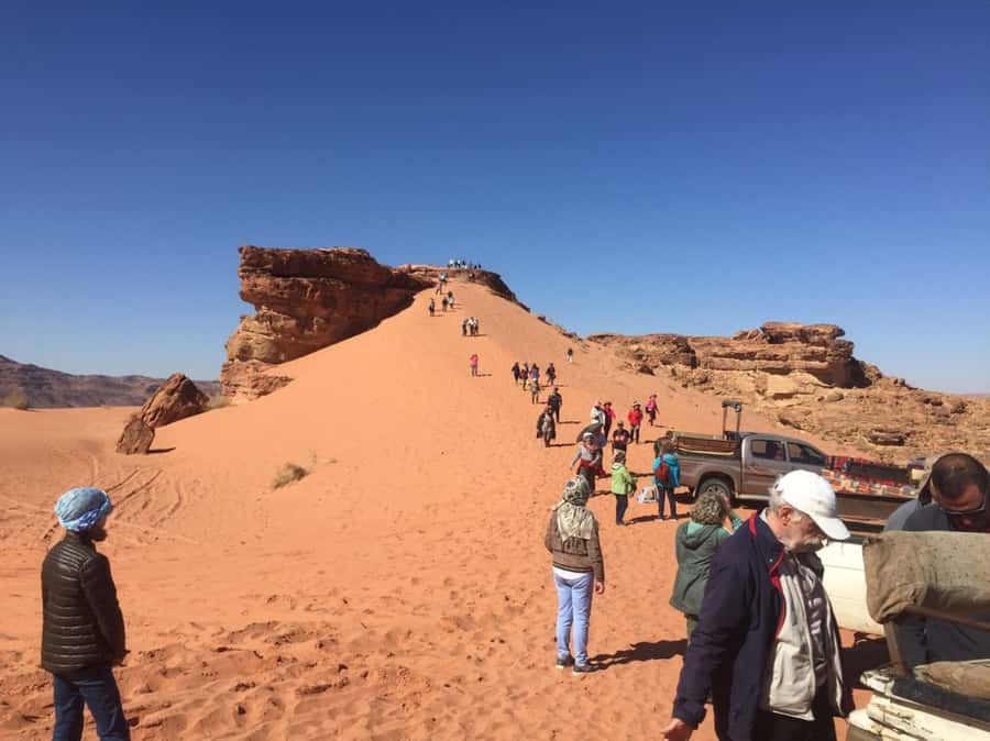 4Hour Jeep Tour (Morning or Sunset) Wadi Rum Desert Highligh - Morning vs Sunset: Picking the Right Time to Feel Wadi Rum