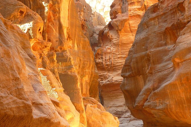 5-Day Private Jordan Tour: Petra, Wadi Rum and the Dead Sea from Amman - Who This Private Jordan Tour Fits Best