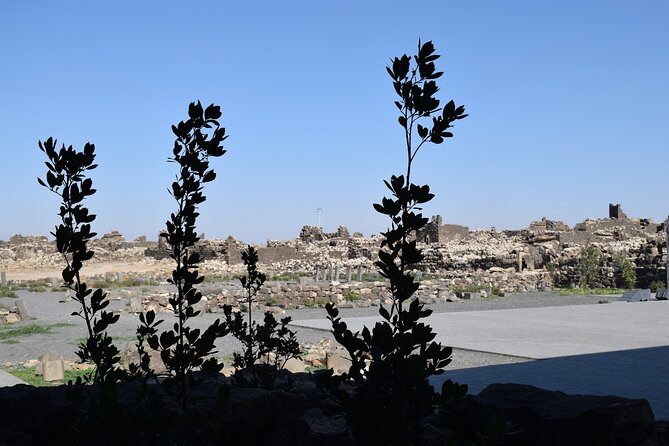 5-Desert Castles of Jordan Full-Day Private Tour from Amman - The core circuit: Qusayr Amra to Azraq, in a desert triangle