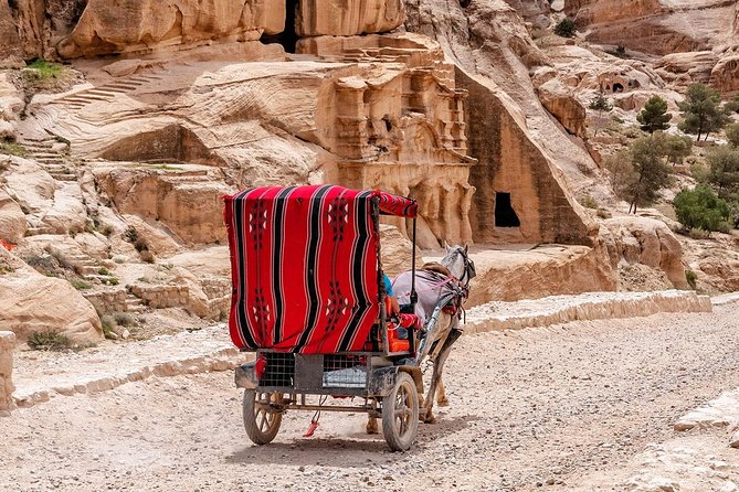 6-Days 5-Night: Jordan in Brief Tour - Petra Before the Heat: Siq to the Treasury, Then On to Wadi Rum