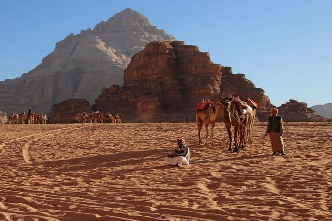 6-Days 5-Night: Jordan in Brief Tour - Wadi Rum and the Dead Sea Area: 4x4 Fun, Then Quiet Scale