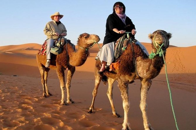7-Day Private Tour, Explore Jordan's Glamour - Desert castles in eastern Jordan: Azraq, Amra, and Kharana