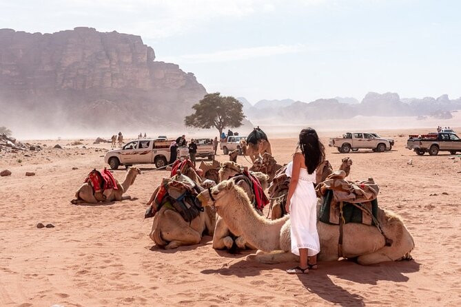 7-Day Super Luxury Tour By Toyota Land Cruiser - Day 6: Wadi Rum, jeeps, a Moon Valley sunset, and a desert camp night