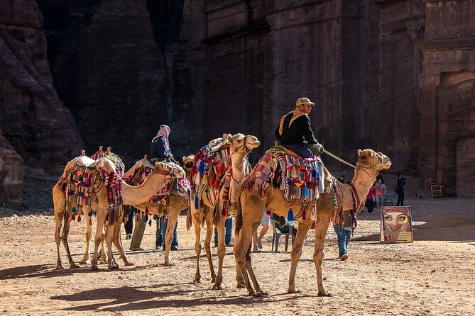 7 Days Jordan Sightseeing Tour - Key points before you go