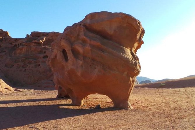 8-Day Private Tour, Jordan's Ability - Customizable - Petra Day and the Switch to Wadi Rum, with a 4x4 Plan