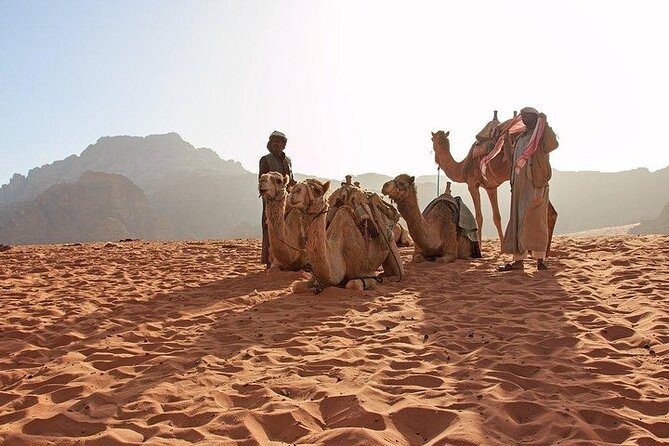 8 Days Jordan Tour: Petra, Wadi Rum, Aqaba - Jebel Al Hash Ridge Walk, White Desert Stops, Elephant Rock