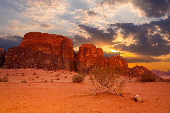 8-Night Best of Jordan Tour: Jerash, Petra with Wadi Rum and Aqaba Overnight - Petra Classic: The Siq to the Treasury, Plus Room to Wander