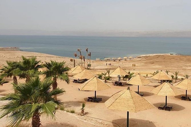 Airport to Dead Sea Transfer (private shuttle) - Your Driver, English Fluent and Focused on a Smooth Ride
