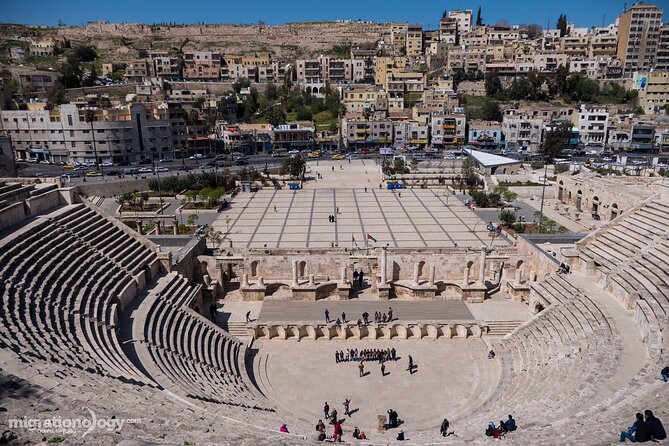 Amman Private City Tour - Royal Automobile Museum: the surprise hit for car lovers