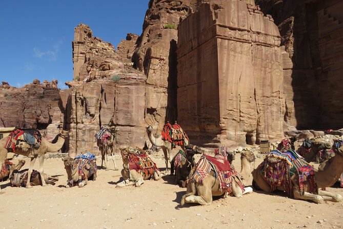 Amman to Petra round trip - Food and pacing: what to do about lunch not included