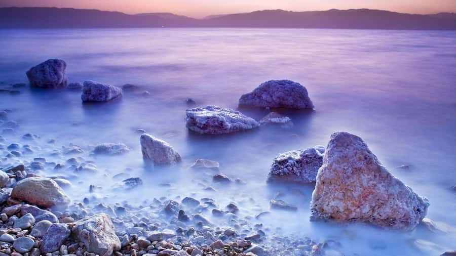 Amman to Petra Wadi Rum Dead Sea 2 or 3 Days Private Tour - Transport, Timing, and the Little Details That Make It Feel Private