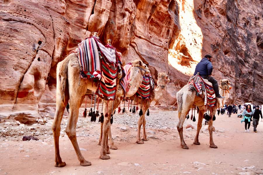 Amman to Petra Wadi Rum Dead Sea 2 or 3 Days Private Tour - Who This Tour Fits Best (And Who Might Want to Skip It)