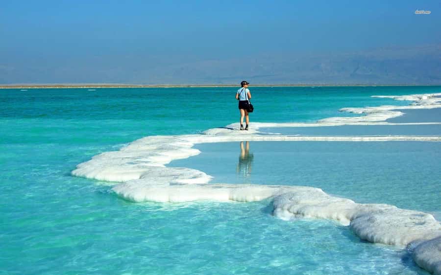 Amman to Petra Wadi Rum Dead Sea 2 or 3 Days Private Tour - Should You Book This Amman to Petra to Wadi Rum to Dead Sea Tour?