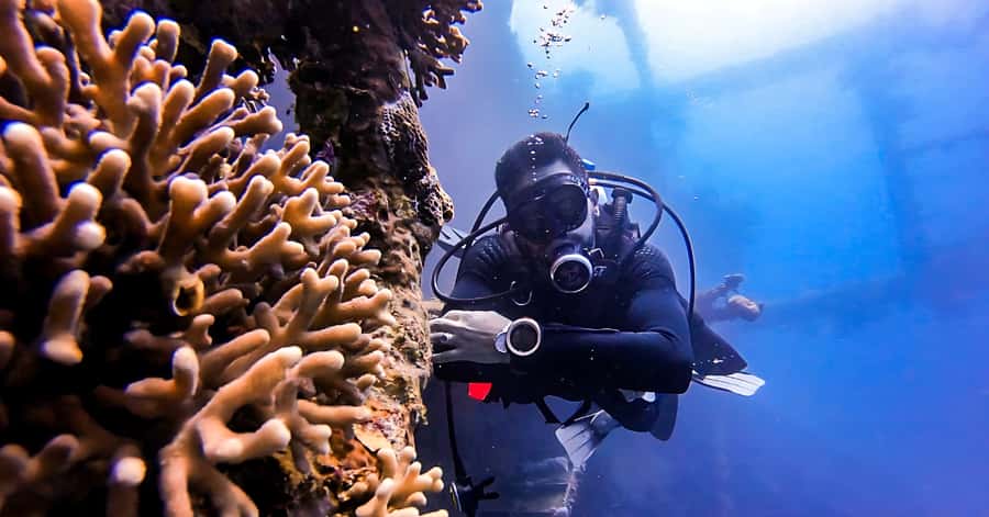 Aqaba Dive Adventure: Explore The Red Sea On A Tour - South Beach stops: photos, wildlife viewing, then you gear up