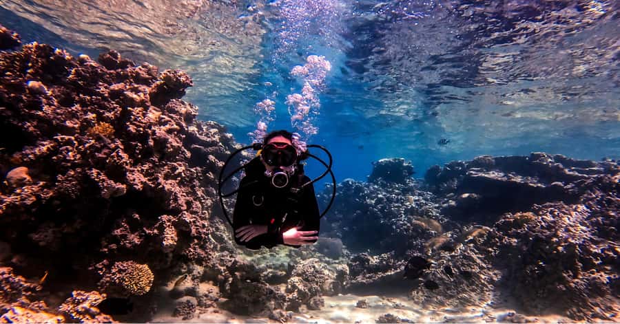 Aqaba Dive Adventure: Explore The Red Sea On A Tour - Meeting point and getting there: Baghdad St. 24 and the van setup