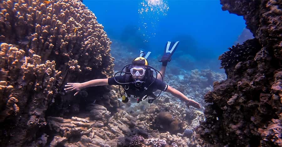 Aqaba Dive Adventure: Explore The Red Sea On A Tour - Gear, instructors, and the safety briefing that sets the tone
