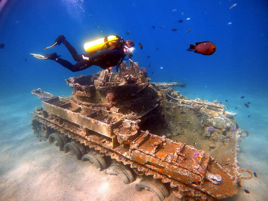 Aqaba: Private Red Sea Diving for Beginner or Experienced - Offshore entry instead of a boat, what that means for your comfort