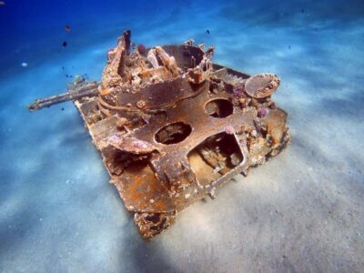 Private Red Sea Diving for Beginner or Experienced