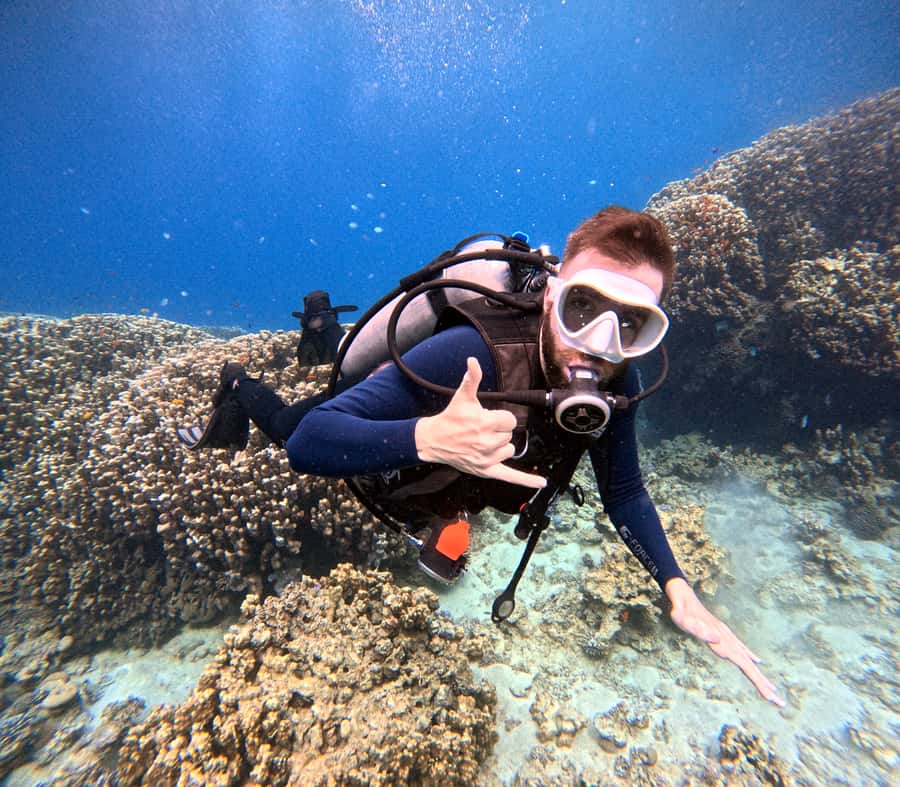 Aqaba: Private Red Sea Diving for Beginner or Experienced - Underwater highlights: reefs, fish, and the tank and plane favorites