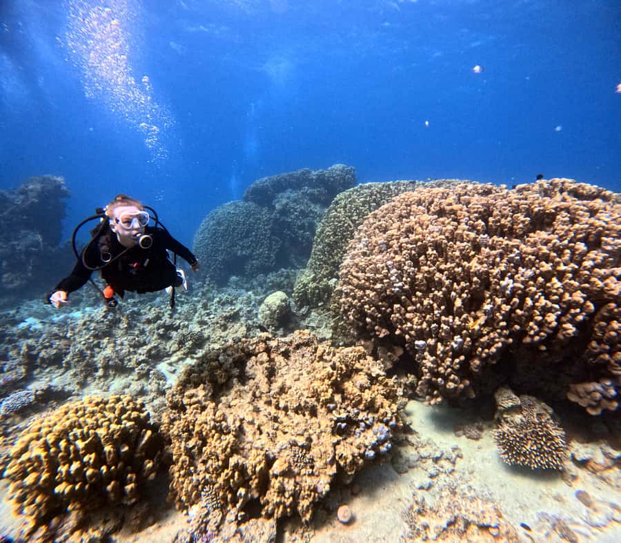 Aqaba: Private Red Sea Diving for Beginner or Experienced - The training style: patient coaching when your nerves show up