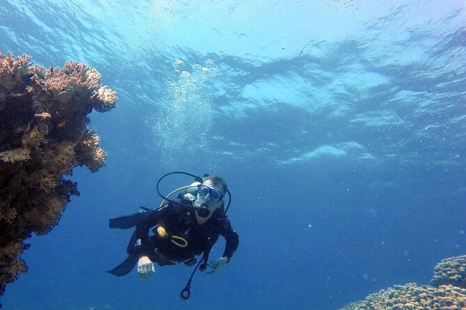 Aqaba Private Scuba Diving Activity with Pick Up - Other Aqaba Underwater Spots: Hercules C130, Lockheed Tristar, and More